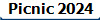 Picnic 2024